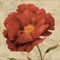 Floral Romance I C Poster Print by Lisa Audit - Item # VARPDX1390